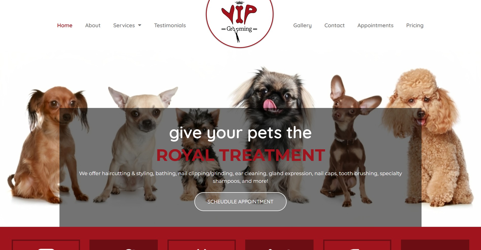 VIP Grooming